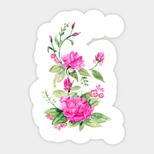 Pink Ornamental Watercolor Roses Sticker